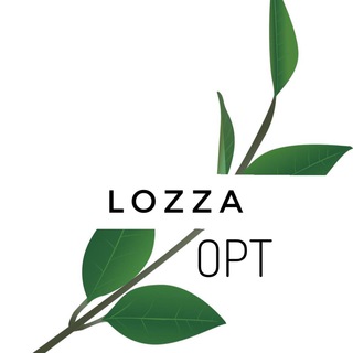 Логотип телеграм -каналу lozza_opt — Сток оптом♥️