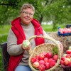 Логотип телеграм канала @lphkipelovo — Коллекционный сад ягодных кустарников