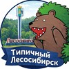 Логотип телеграм канала @lsk_tip — Типичный Лесосибирск