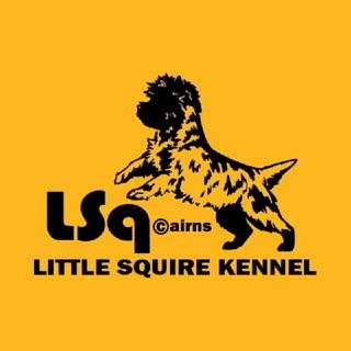 Логотип телеграм канала @lsqkennel — LSq© Питомник собак Керн терьеры