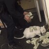 Логотип телеграм канала @ltyuionik — потрошители теста