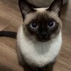 Логотип телеграм канала @lubitmena — любитменя