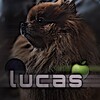 Логотип телеграм канала @lucasi4chekchat — Луᴋᴀ Бᴇбᴩиᴋ 🌊