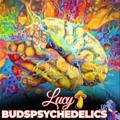 Logo saluran telegram lucylsdspychedelic — Lucy🍄budspsychedelic🧟