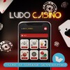 Логотип телеграм канала @ludocasinotg — LudoCasino | Переходник
