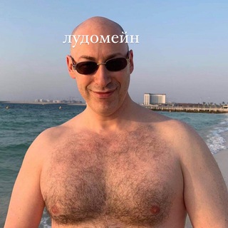 Логотип телеграм канала @ludomain — лудомэйн