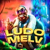 Логотип телеграм канала @ludomelv — ЛУДОМЕЛВ