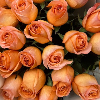 Логотип телеграм канала @lullaby_life — The lullaby life