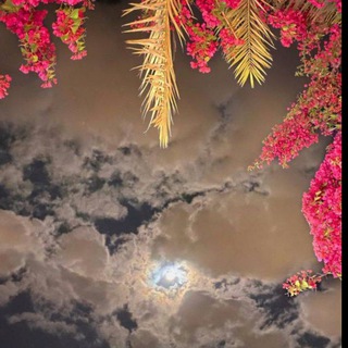 Telegram channel 🥀луна🌒 logo