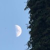 Логотип телеграм канала @luna_1111111 — Luna 🌒