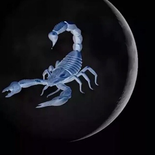 Логотип телеграм канала @lunavscorpione — Луна в скорпионе / Канал об астрологии