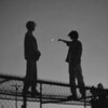 Логотип телеграм канала @lungslis — твои легкие