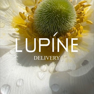 Логотип телеграм канала @lupine_delivery — Lupine