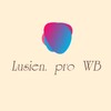 Logo of telegram channel lusien_pro — Lusien_ pro WB
