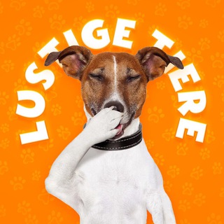 Logo des Telegram-Kanals lustige_tiere_de - LUSTIGE TIERE