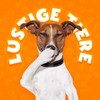 Logo des Telegrammkanals lustige_tiere_de - LUSTIGE TIERE