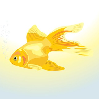 Логотип телеграм канала @luxuv — 🐠 Золотая рыбка 🐠