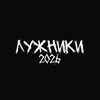 Логотип телеграм канала @luzhniki2026ekk — Лужники. 2026.