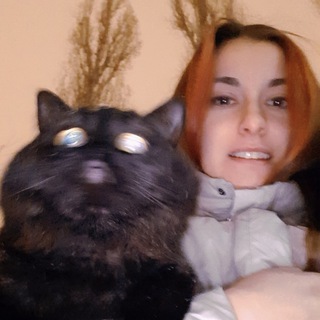 Логотип телеграм канала @lvitsatigritsa — Клубника со свинками