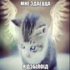 Логотип телеграм канала @lwmiawl — мия киллер про читер ассасин паркур дарк мастер
