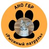 Логотип телеграм канала @lynx_patrol_cannel — Рысиный патруль🐾