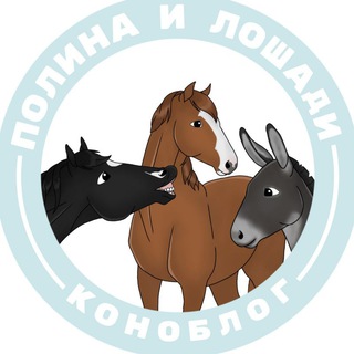 Логотип телеграм канала @lyuska_meee — Полина и Лошади | коноблог