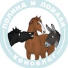 Логотип телеграм канала @lyuska_meee — Полина и Лошади | коноблог
