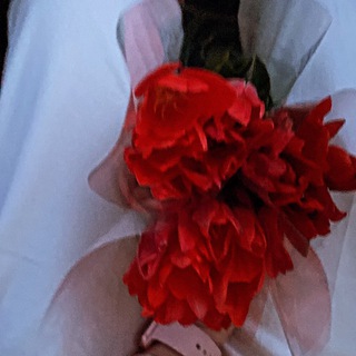 Логотип телеграм канала @m_eye_nd_yuy — Archive #M_EYE_ND