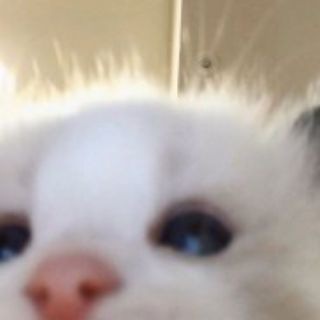 Логотип телеграм канала @m1lov13 — 1#%•>]6¡0^'