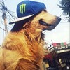 Логотип телеграм канала @m3shokk — добро пожаловать мешок