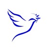 Логотип телеграм канала @m_bluebird — Синяя птица — Тверь