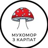 Telegram kanalining logotibi m_mukhomor — Мухомор з Карпат 🍄