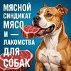 Логотип телеграм канала @m_sindikat — МЯСНОЙ СИНДИКАТ Мясо и Лакомства для собак