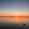 Логотип телеграм канала @m_tekuch — Моря и Океаны