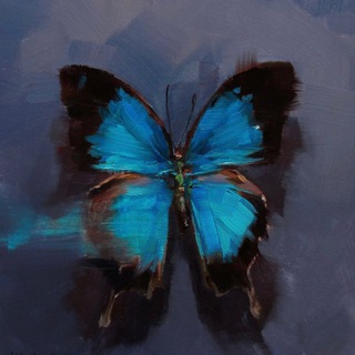 Telegram каналынын логотиби ma3rs — MARS