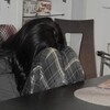 Логотип телеграм канала @maaayyyyyyyyyyyyyyyyyyy — ᴩrufy ʍᴀy🕷🗞️