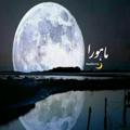 لوگوی کانال تلگرام maahora — ماهورا🌙