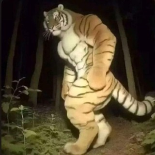 Логотип телеграм канала @macan_all — Macan in gambling