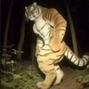 Telegram channel Macan in gambling logo