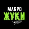 Логотип телеграм канала @macrobugs — Макро-Жуки