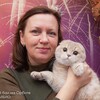 Логотип телеграм канала @macselnatalit — МакСел_Наталит питомник шотландских кошек