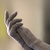 Логотип телеграм канала @madam_wool — Madam Wool