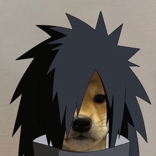 Logo of telegram channel madaras_alpha_calls — Madara's Journal