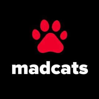 Логотип телеграм канала @madcats — Котики — MadCats.ru