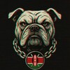 Logo of telegram channel maddogkenya — 𝗠𝗔𝗗 𝗗𝗢𝗚 254🇰🇪