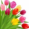 Логотип телеграм канала @madou24kurg23 — МАДОУ 24