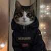 Логотип телеграм канала @madthunder88 — MadThunder