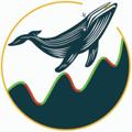 Telegram channel Mad Whale logo