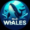Logo of telegram channel madwhalez — MAD WHALES 🐬🐬