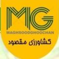 Logo saluran telegram maghsoodgroup — گروه شرکت های کشاورزی مقصود.